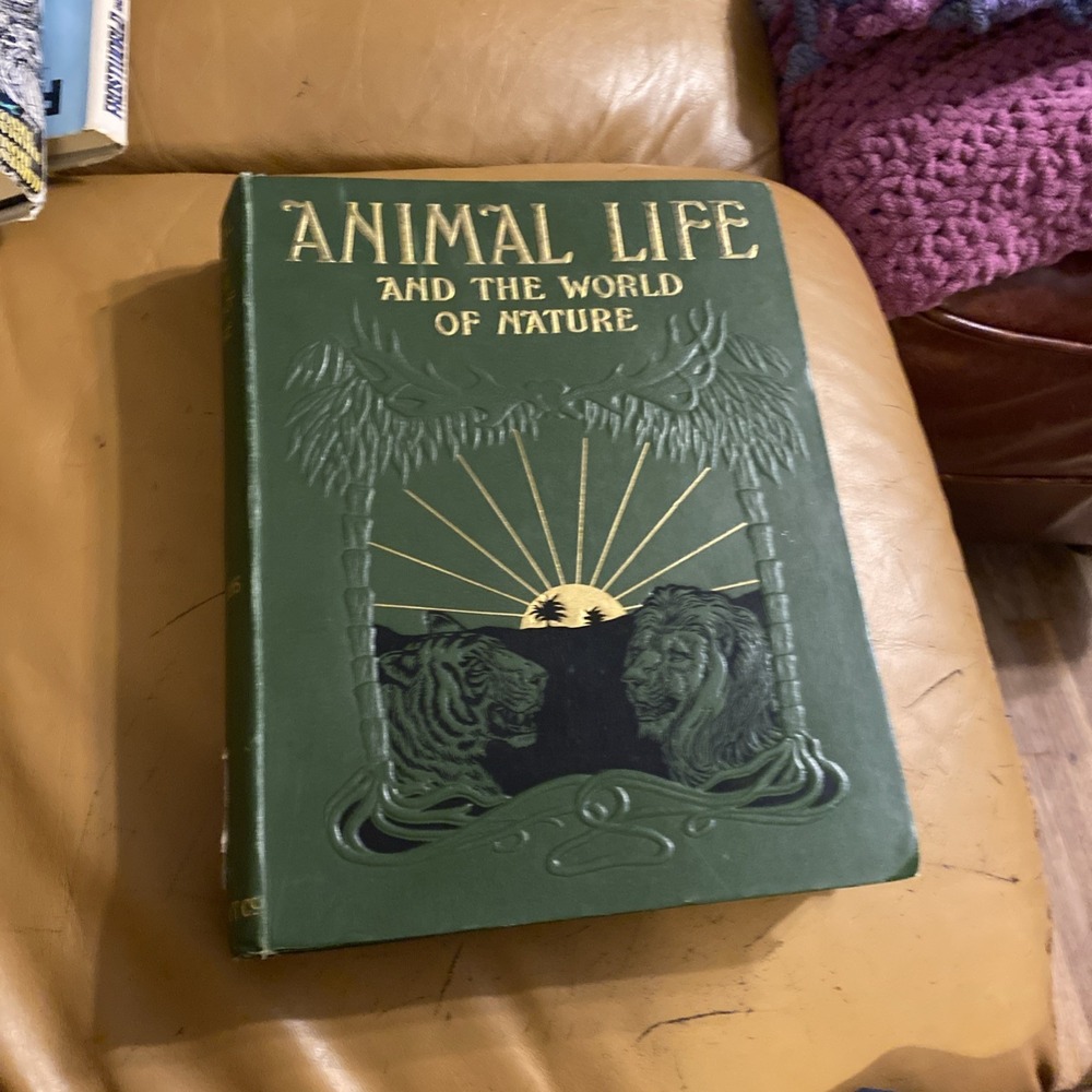 Animal Life And The World Of Nature Lupe city Co 718‎ Illustrations
